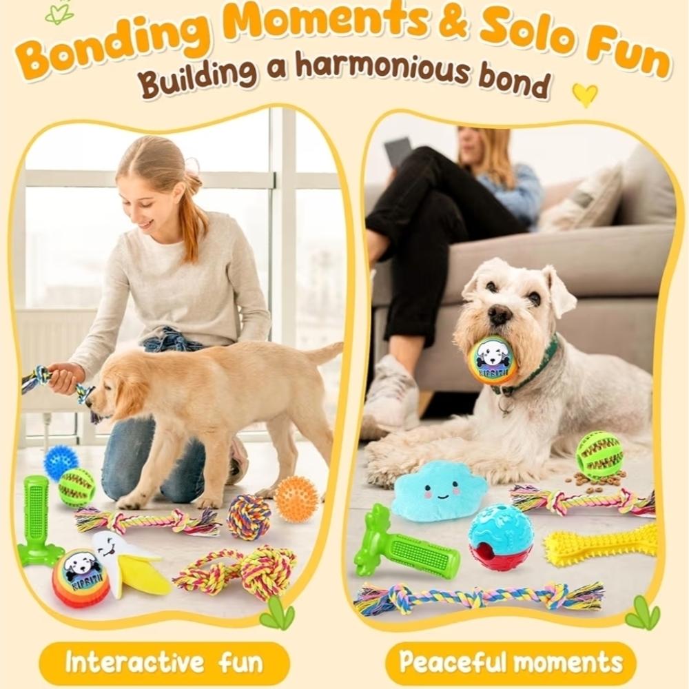 25 Pack Various Dog Toys Set - Picture 4 of 6